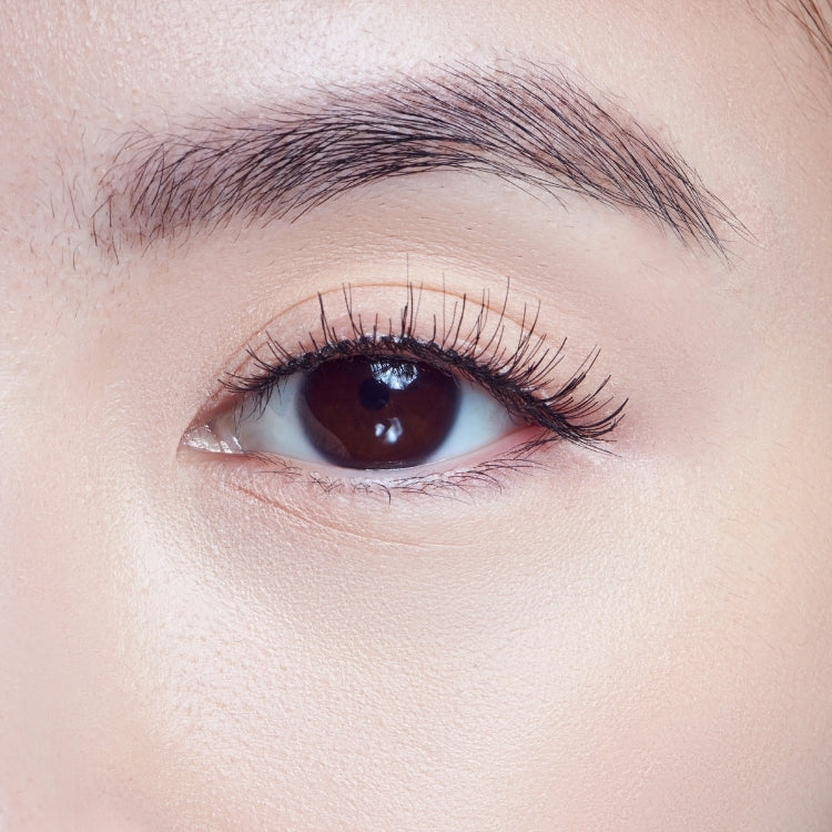 Kunstwimpers Natural - Daydreamy, natuurlijke, lange wimpers voor een subtiele, dagelijkse look.