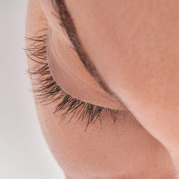 Lash Atelier Design Kit 6mm-12mm - Natural, zwarte wimpers in een natuurlijke look, perfect voor een subtiele uitstraling.