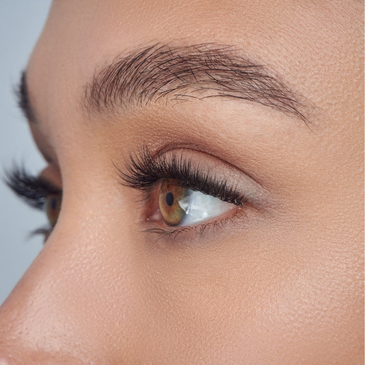 Lash Atelier Design Kit 6mm-14mm - Anime met diverse wimpers in een elegante verpakking, ideaal voor een dramatische look.